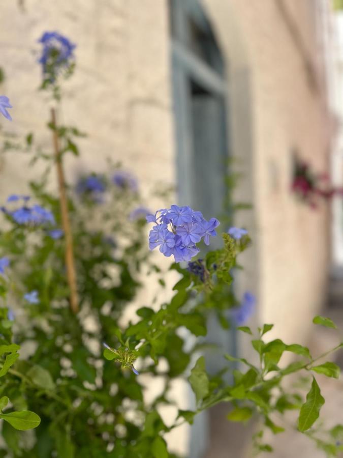 Bianco Calce - Ostuni Villa Екстериор снимка